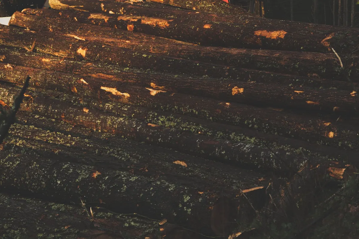 How to Track Log Yard Inventory by Species, Grade, and Moisture Content